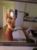 Anadolu Yakası Bayan Escort Sibel