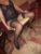 Anadolu Yakası Escort Sevda