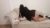 Ataşehir Escort Bayan Dicle