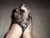 Ataşehir Escort Bayan Işılay