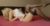 Bayan Escort Yonca Anadolu Yakası
