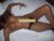 Gurup Escortlar Nil ve Nilsu