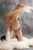 Genç Escort Merve
